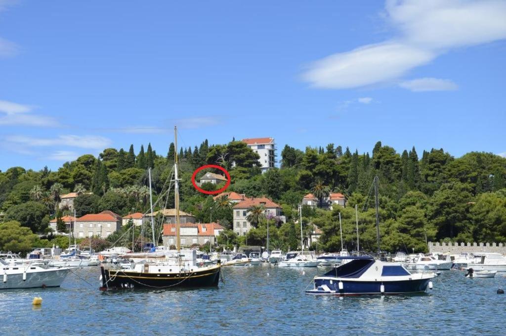 Peaceful House In Dubrovnik Apartment Bagian luar foto